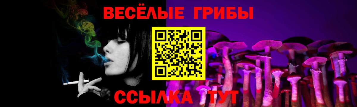 Псилоцибиновые грибы прущие грибы  Вход с VPN  Выкса 